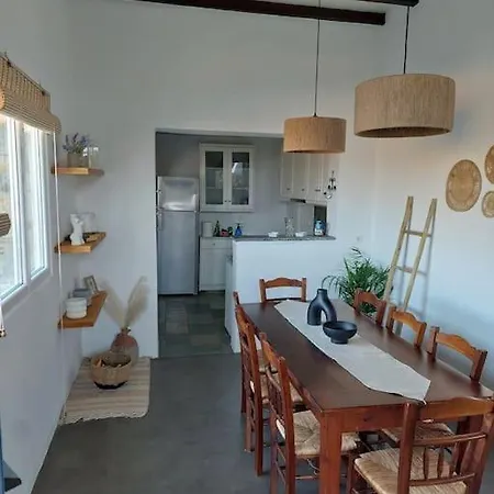 Skepano House Apartment Tinos